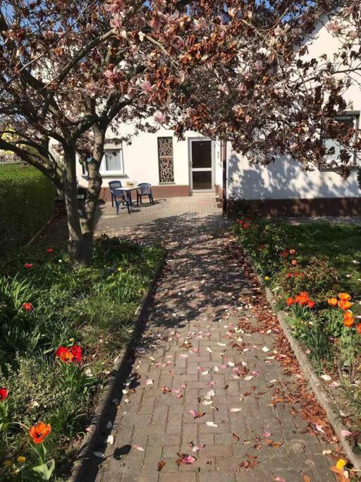 Auf Dem Land Und Doch Ganz Nah Apartment Krolpa Bagian luar foto
